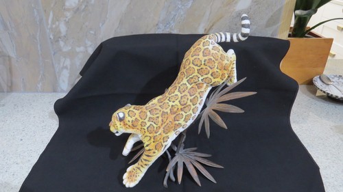 David fryer studios - leopard, on