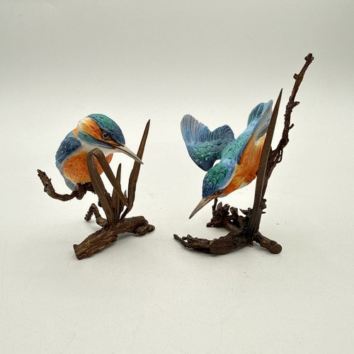 Albany worcester kingfisher - worcester,